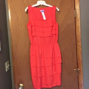 Dressbarn Dress and Shrug